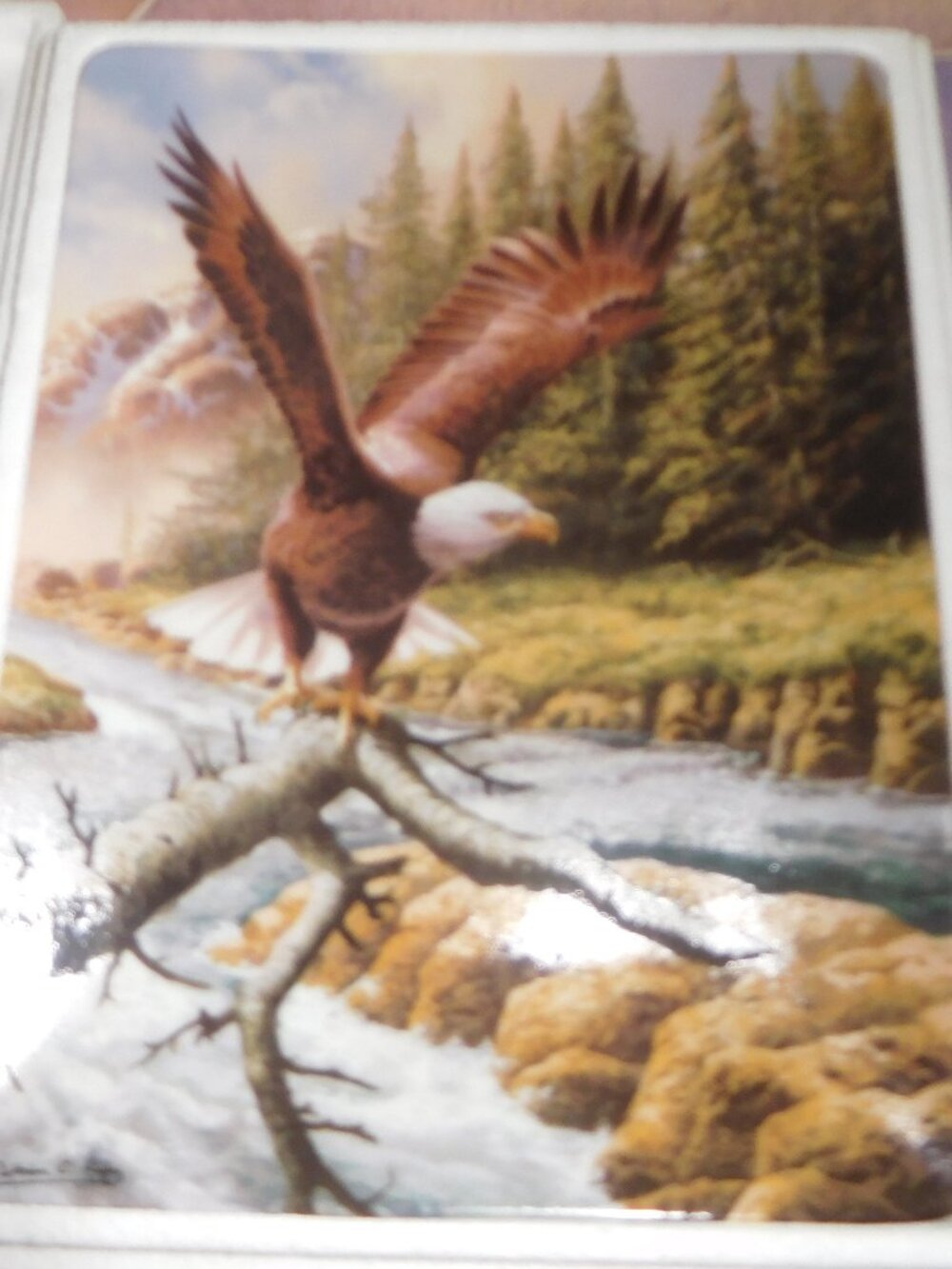 Realm of the Majestic Eagle Plate Collection / "Spring Pursuit"